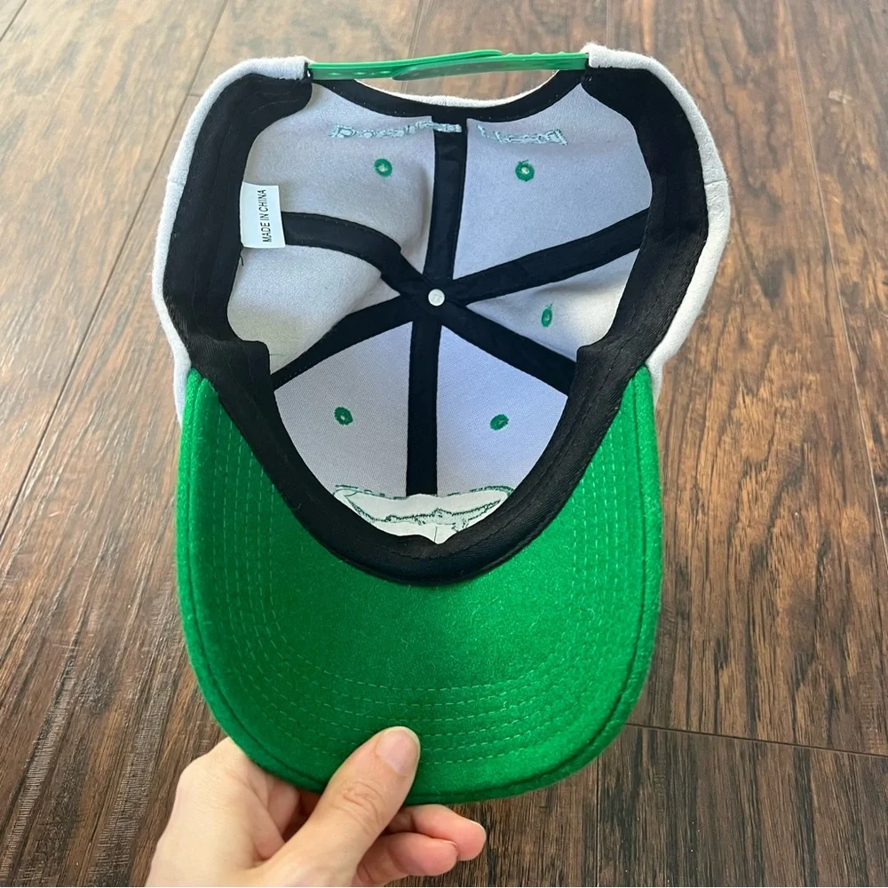 Dogfish head green and grey adjustable snap back brewery hat_3